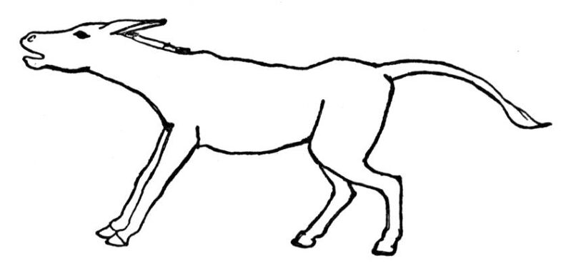 Desenho de Burros para colorir e imprimir: número 30