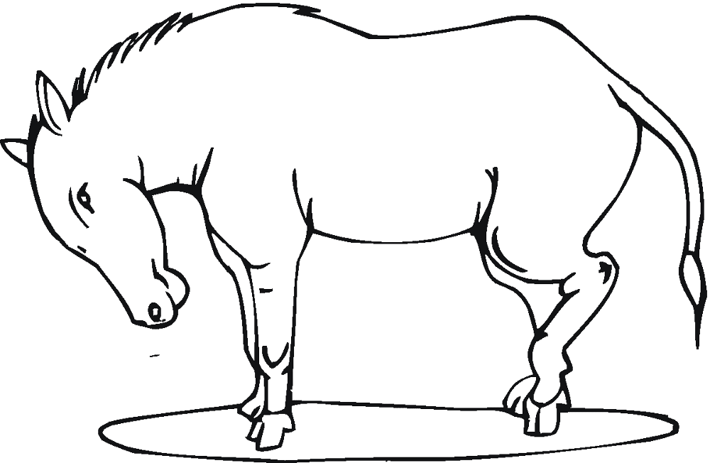 Desenho de Burros para colorir e imprimir: número 31