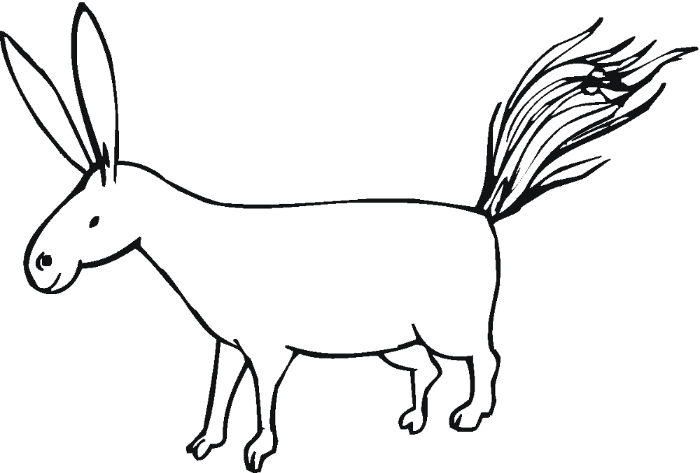 Desenho de Burros para colorir e imprimir: número 32