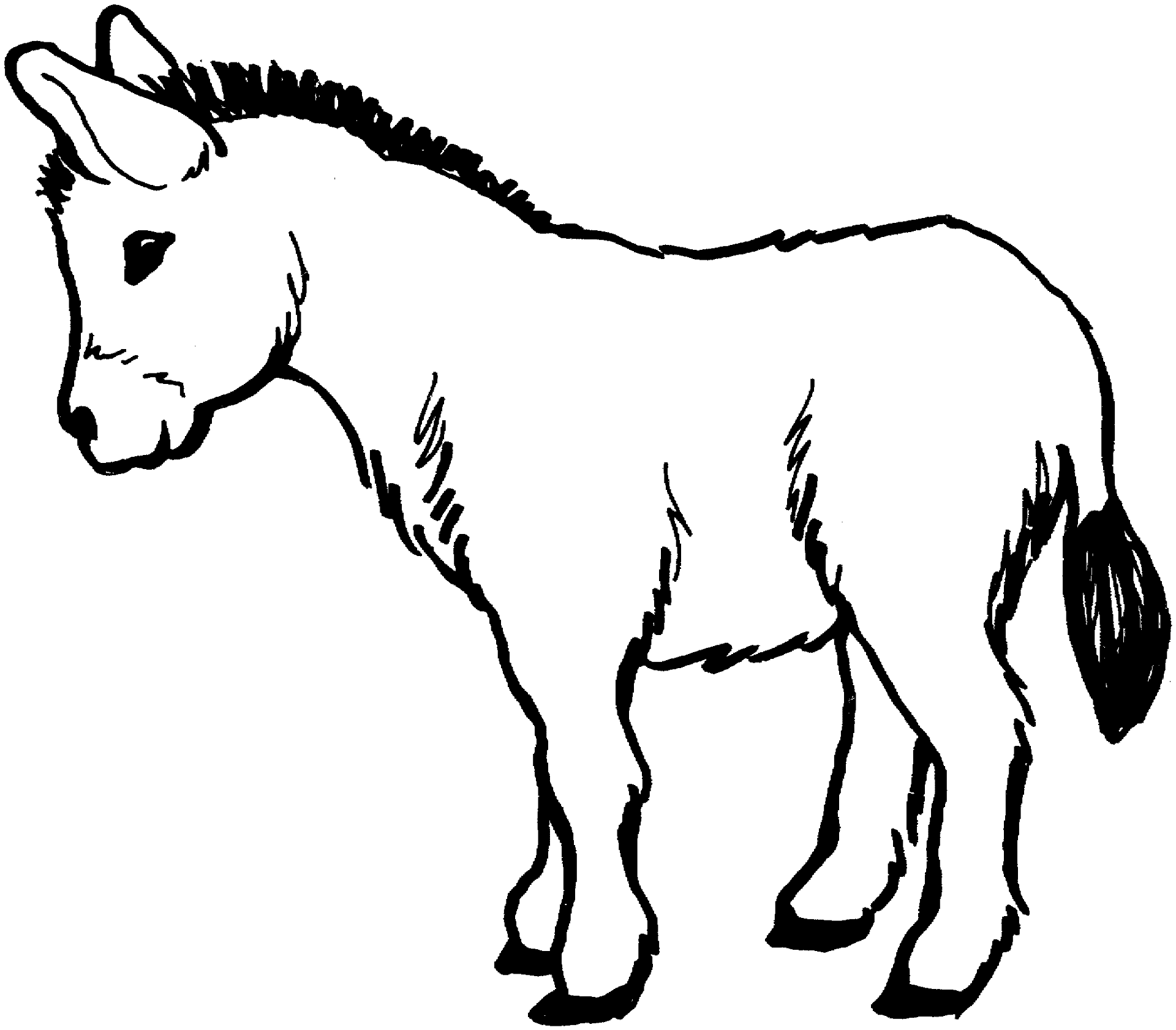Desenho de Burros para colorir e imprimir: número 36