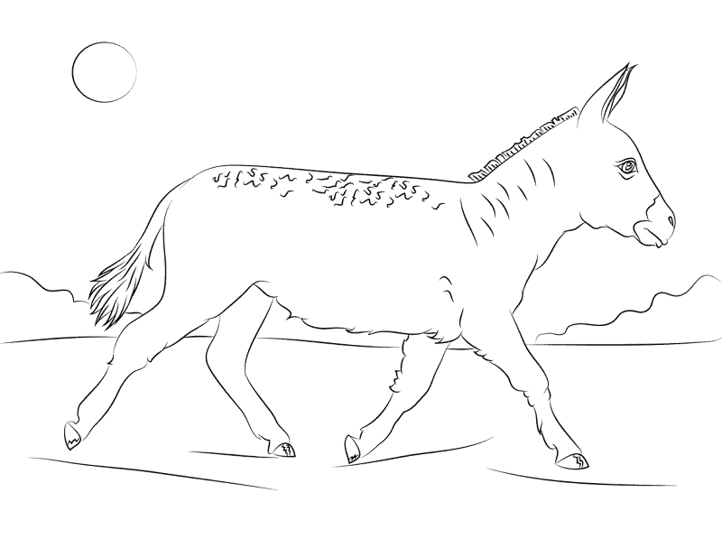 Desenho de Burros para colorir e imprimir: número 41