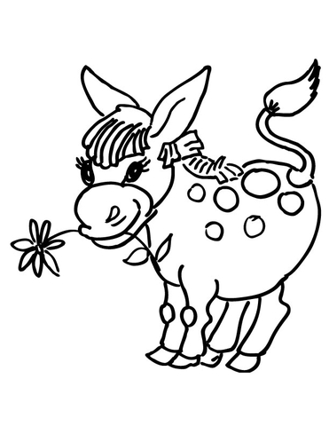 Desenho de Burros para colorir