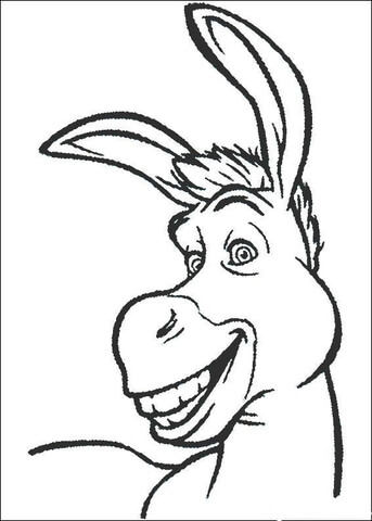 Desenho de Burros para colorir