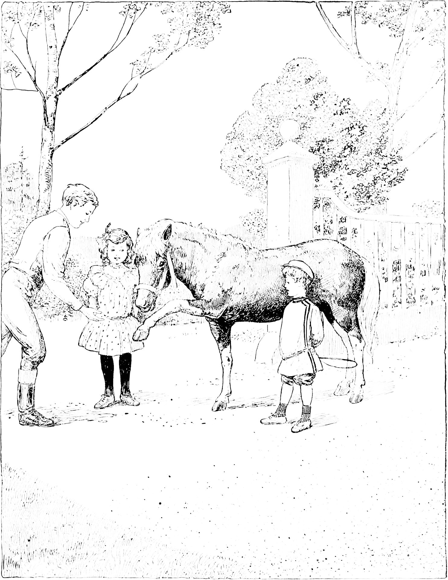Desenho de Burros para colorir