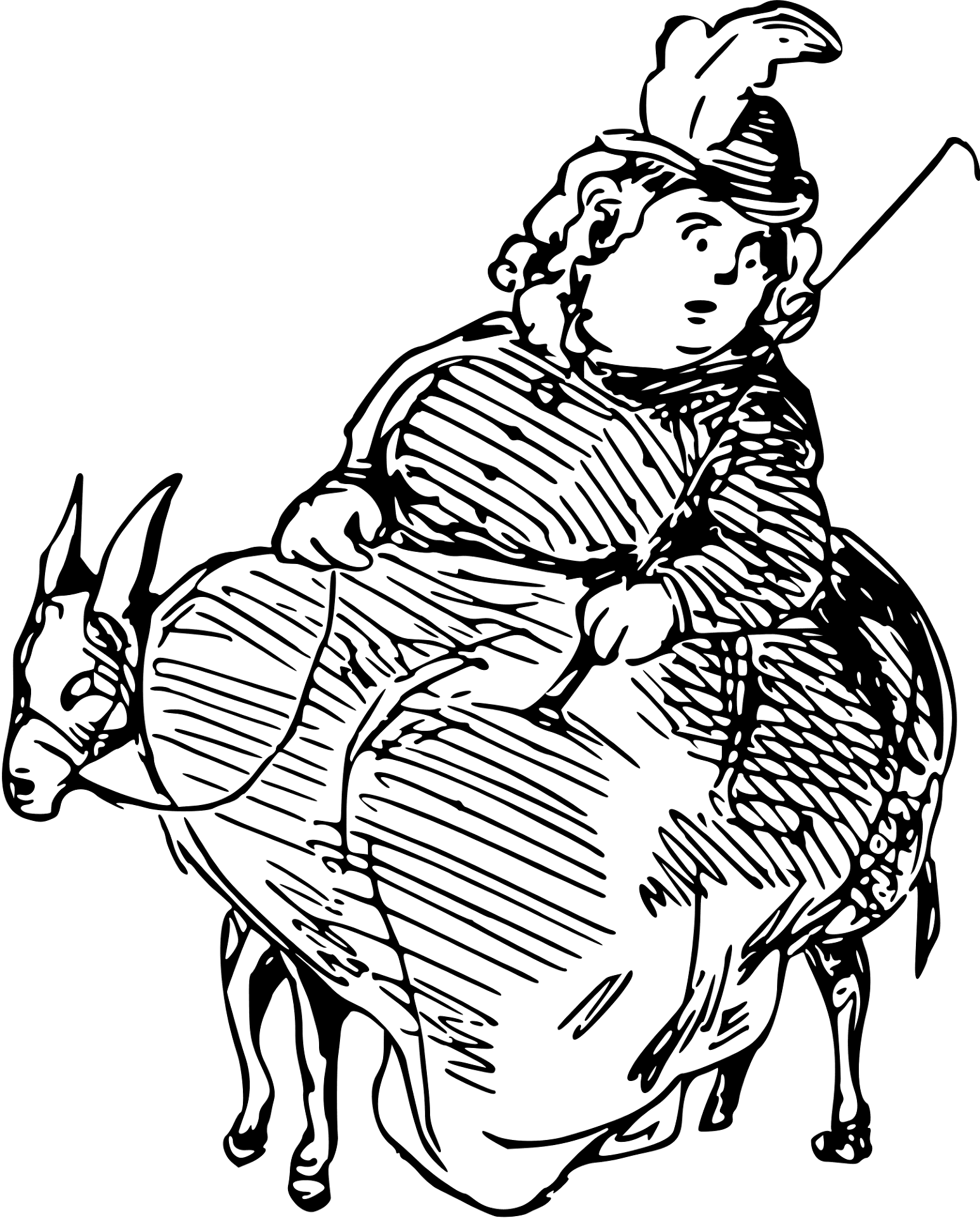 Desenho de Burros para colorir