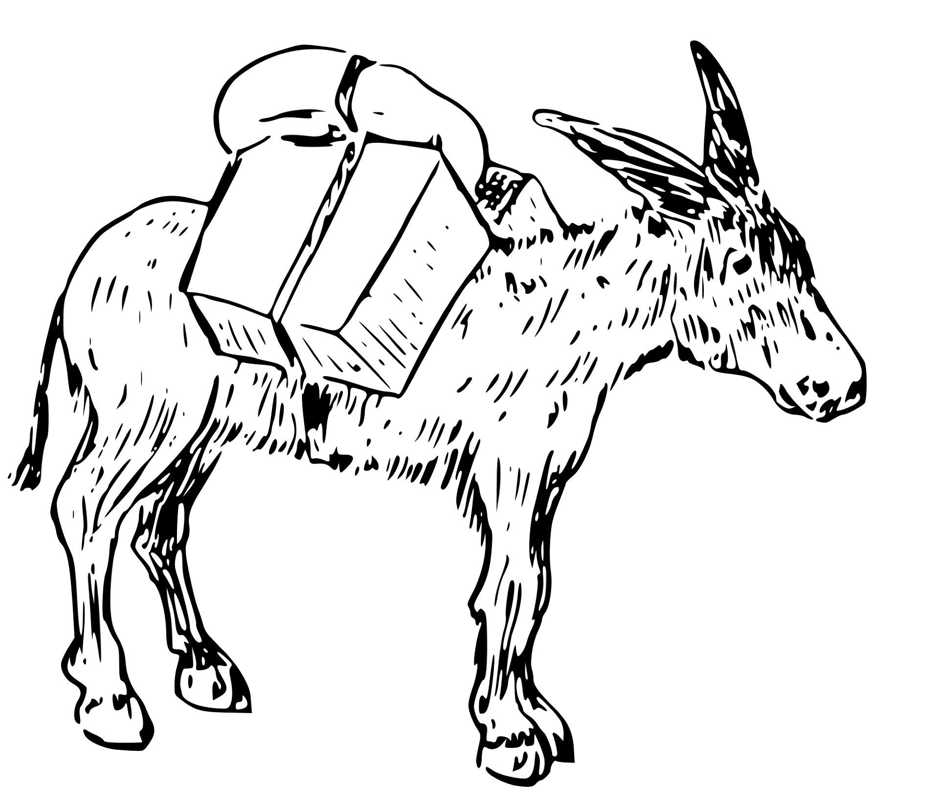 Desenho de Burros para colorir