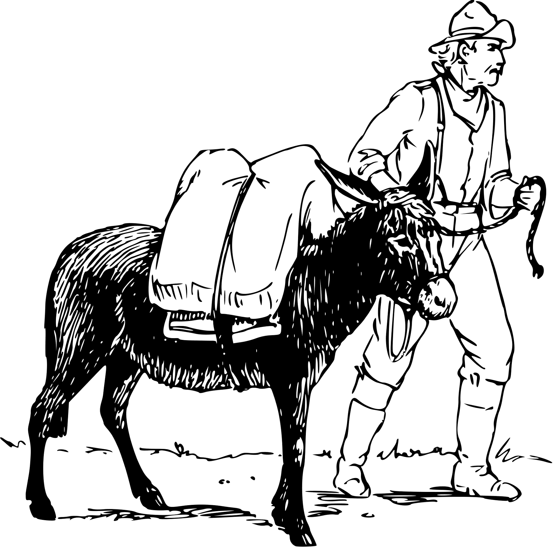 Desenho de Burros para colorir