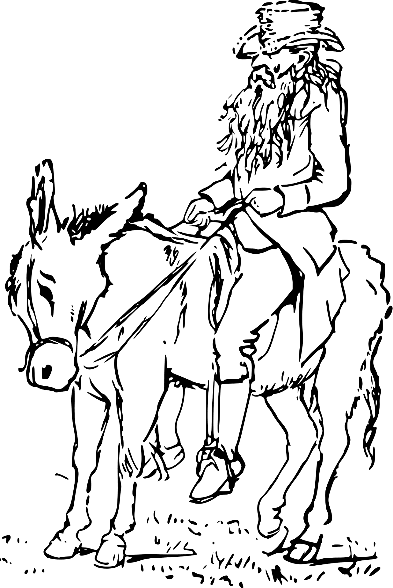 Desenho de Burros para colorir