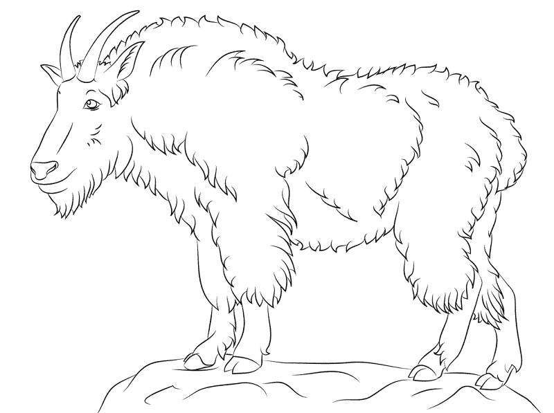 Desenho de Cabras para colorir e imprimir: número 10