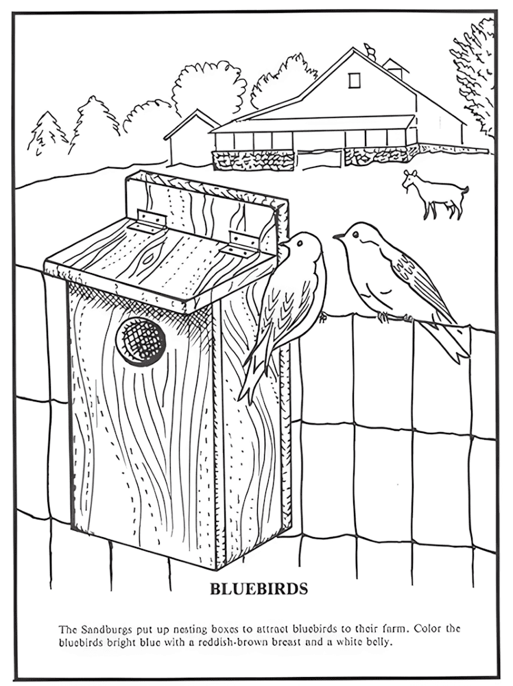 Desenho de Cabras para colorir e imprimir: número 15