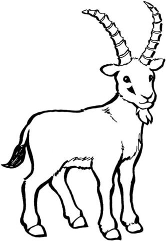 Desenho de Cabras para colorir e imprimir: número 19
