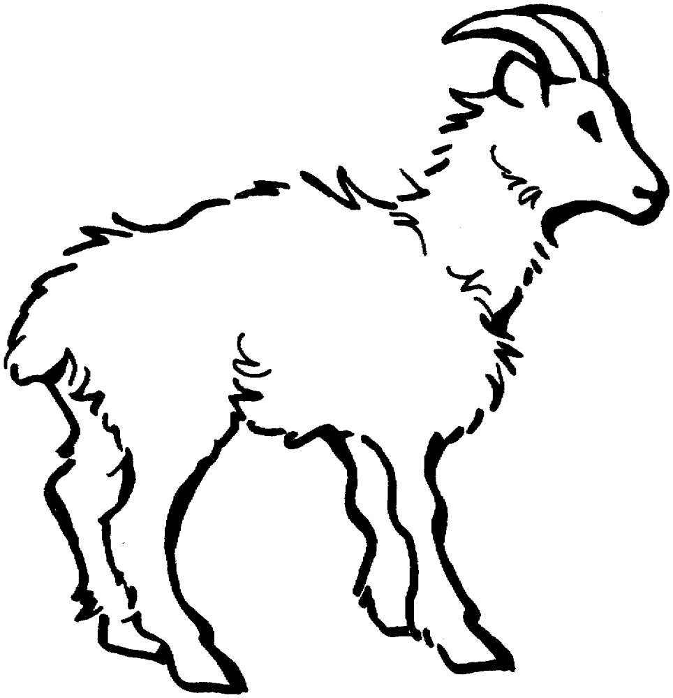 Desenho de Cabras para colorir e imprimir: número 25