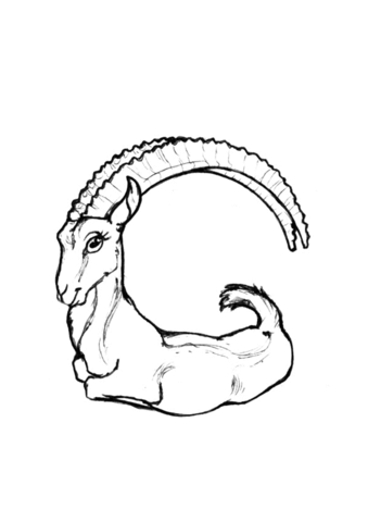 Desenho de Cabras para colorir e imprimir: número 30