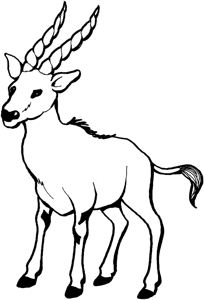Desenho de Cabras para colorir e imprimir: número 31