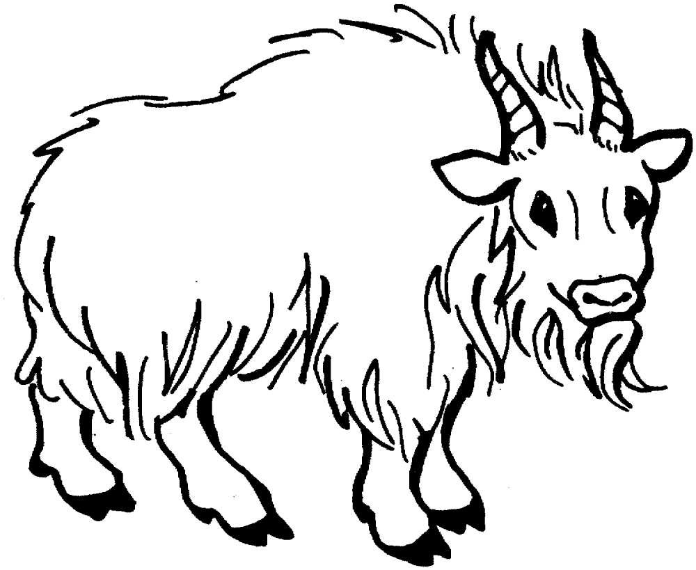 Desenho de Cabras para colorir e imprimir: número 32