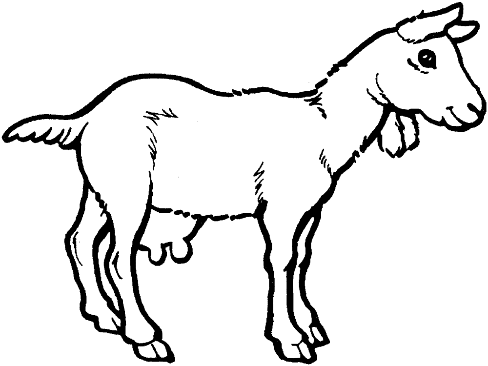 Desenho de Cabras para colorir e imprimir: número 33
