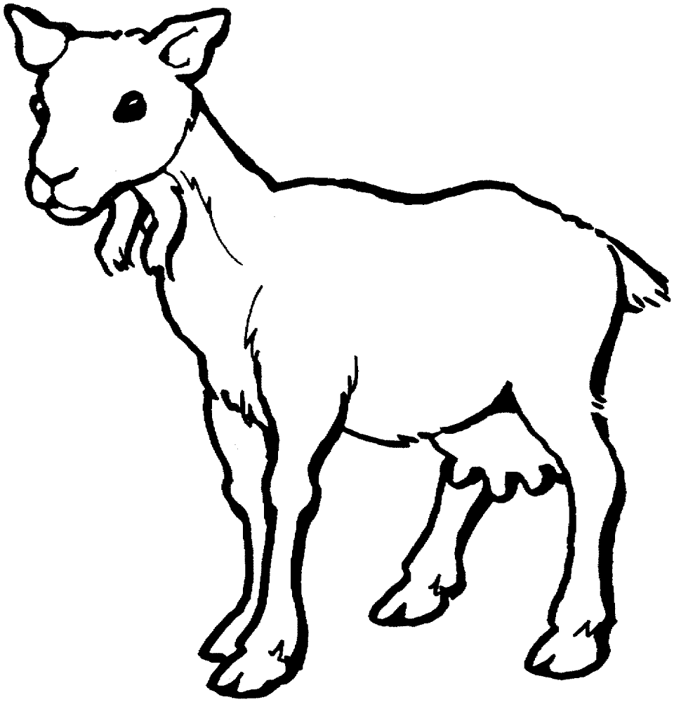 Desenho de Cabras para colorir e imprimir: número 36