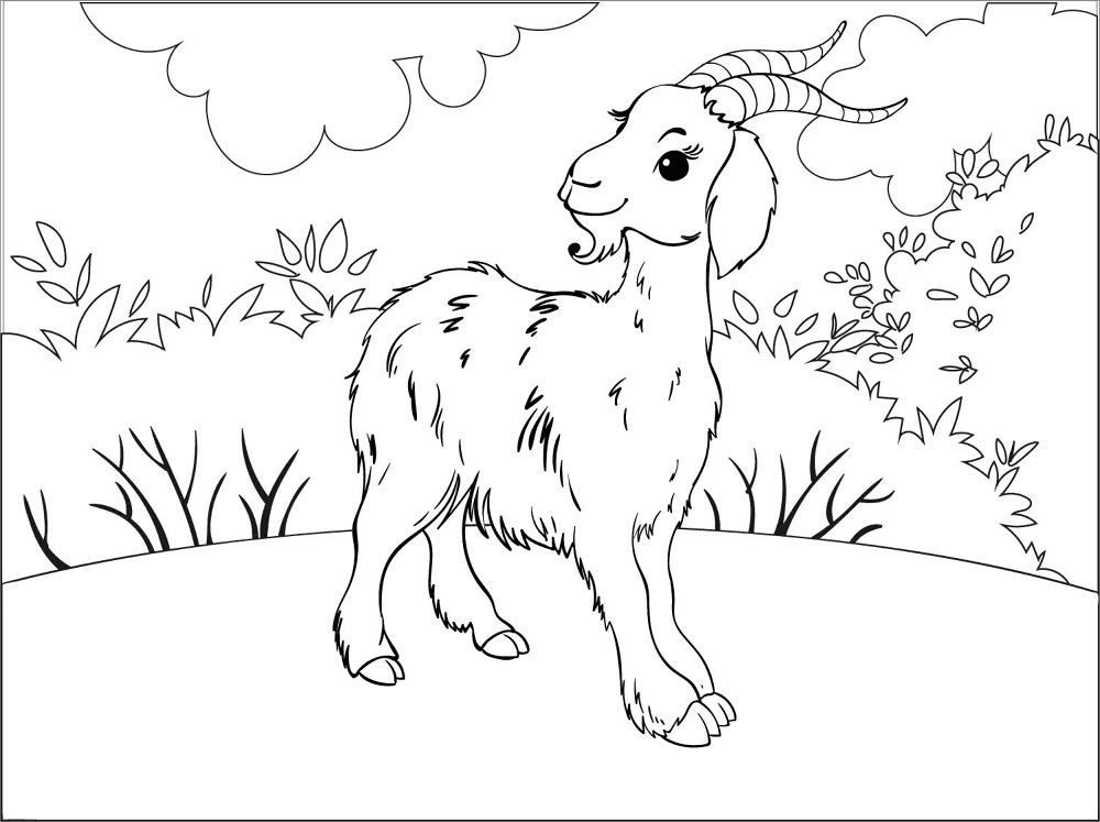 Desenho de Cabras para colorir e imprimir: número 37