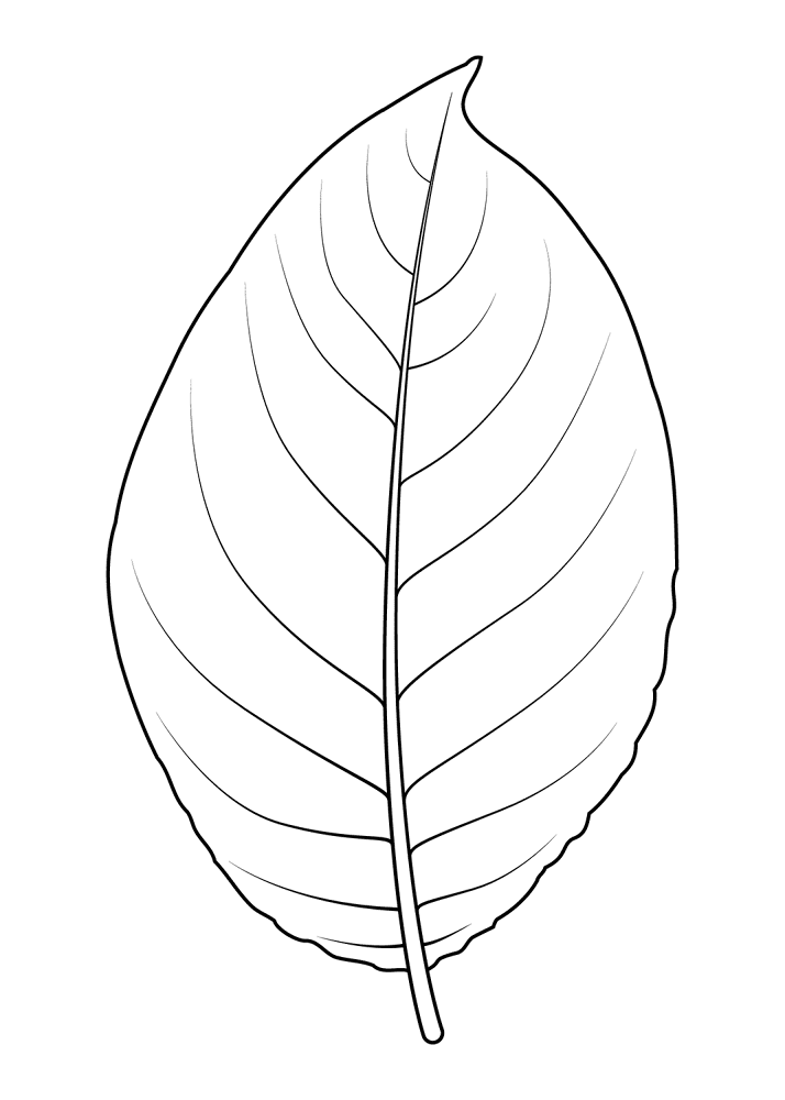 Desenho de Cabras para colorir e imprimir: número 40