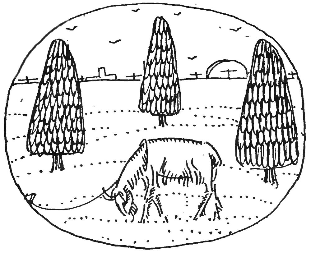 Desenho de Cabras para colorir e imprimir: número 45