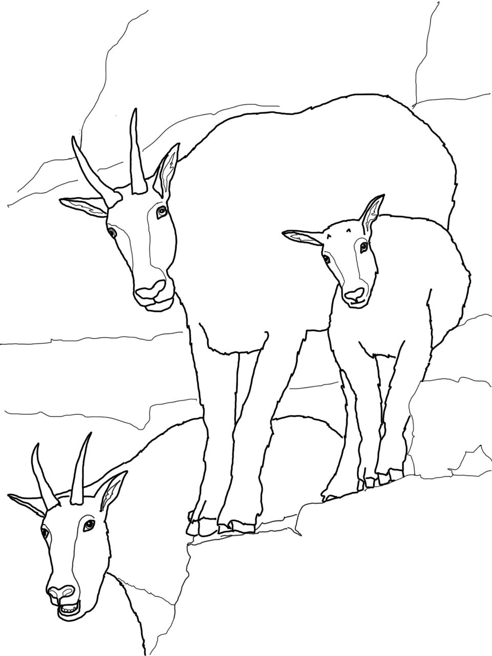 Desenho de Cabras para colorir