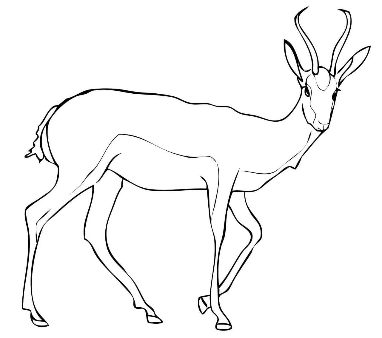 Desenho de Cabras para colorir