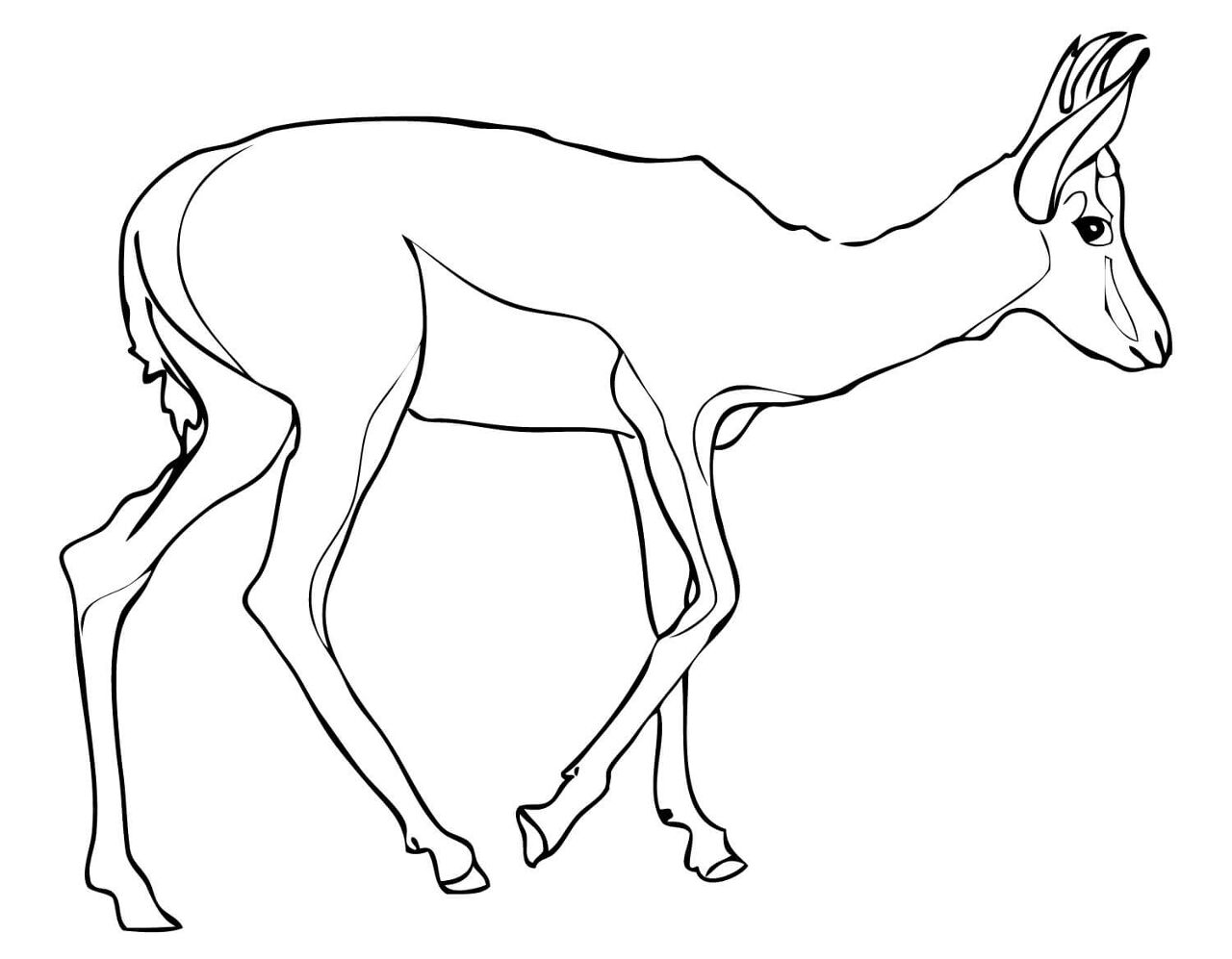 Desenho de Cabras para colorir
