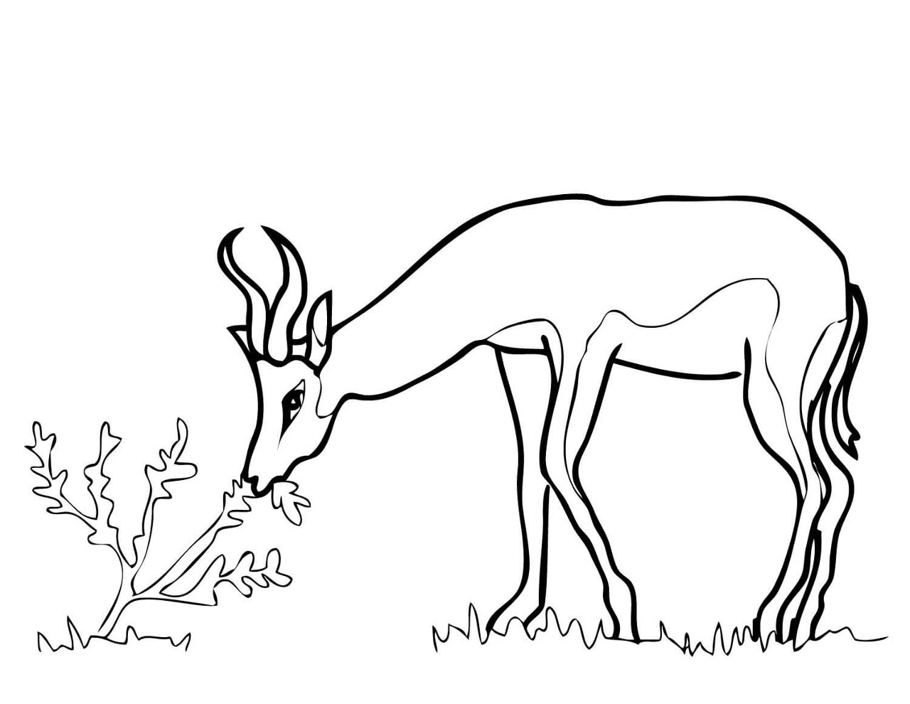 Desenho de Cabras para colorir