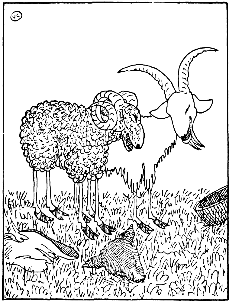 Desenho de Cabras para colorir