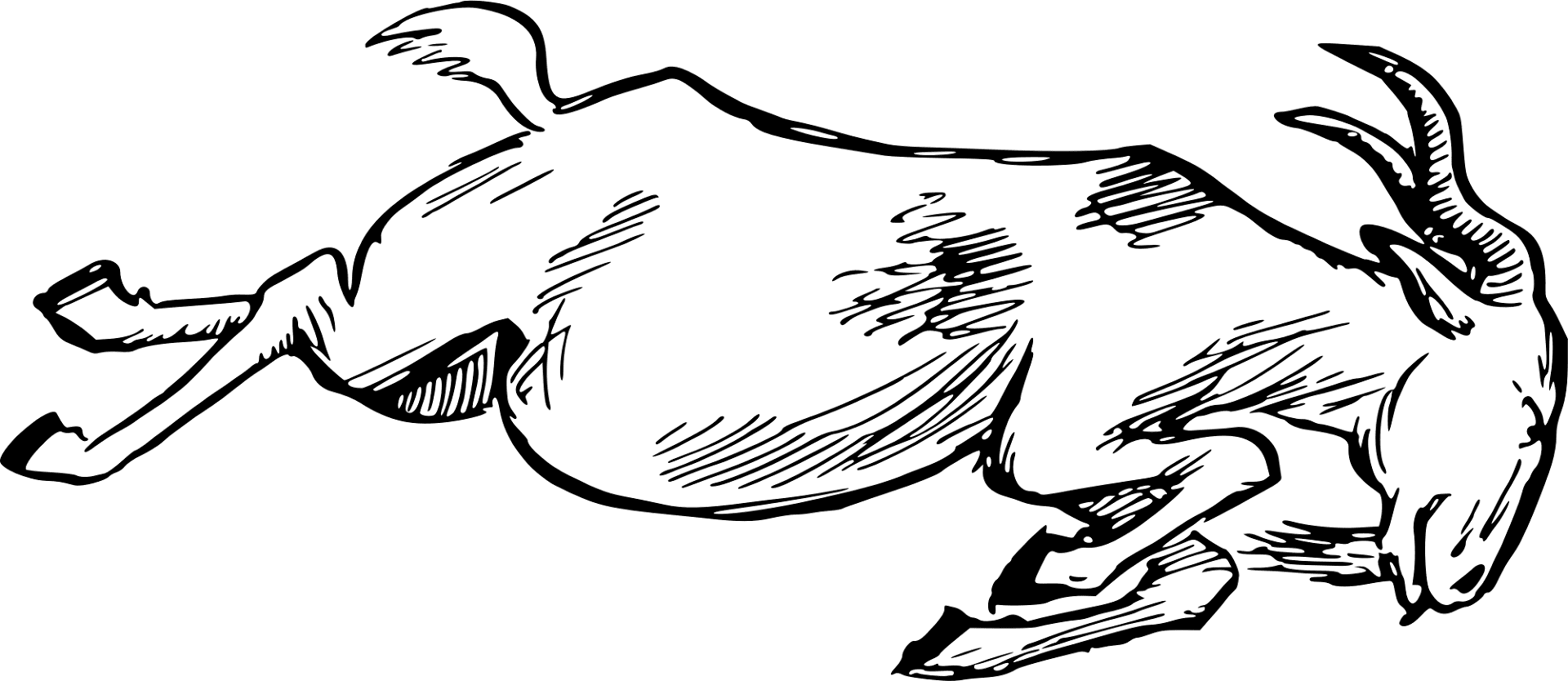 Desenho de Cabras para colorir