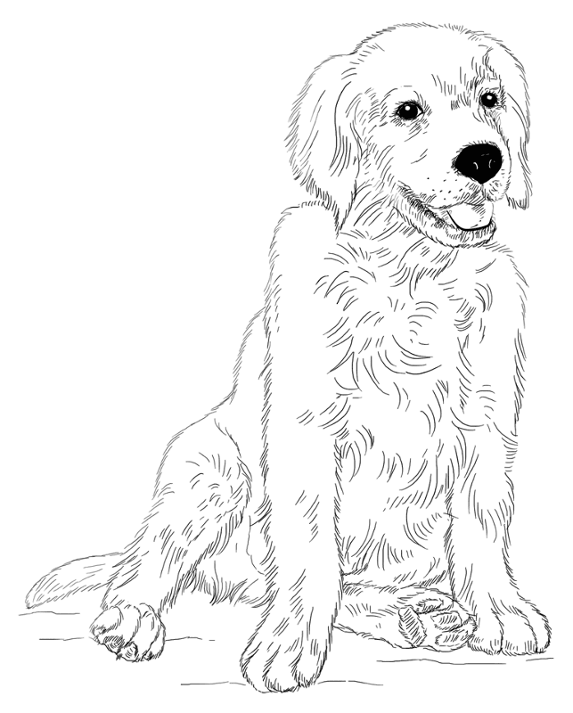 Desenho de Cachorros para colorir e imprimir: número 9