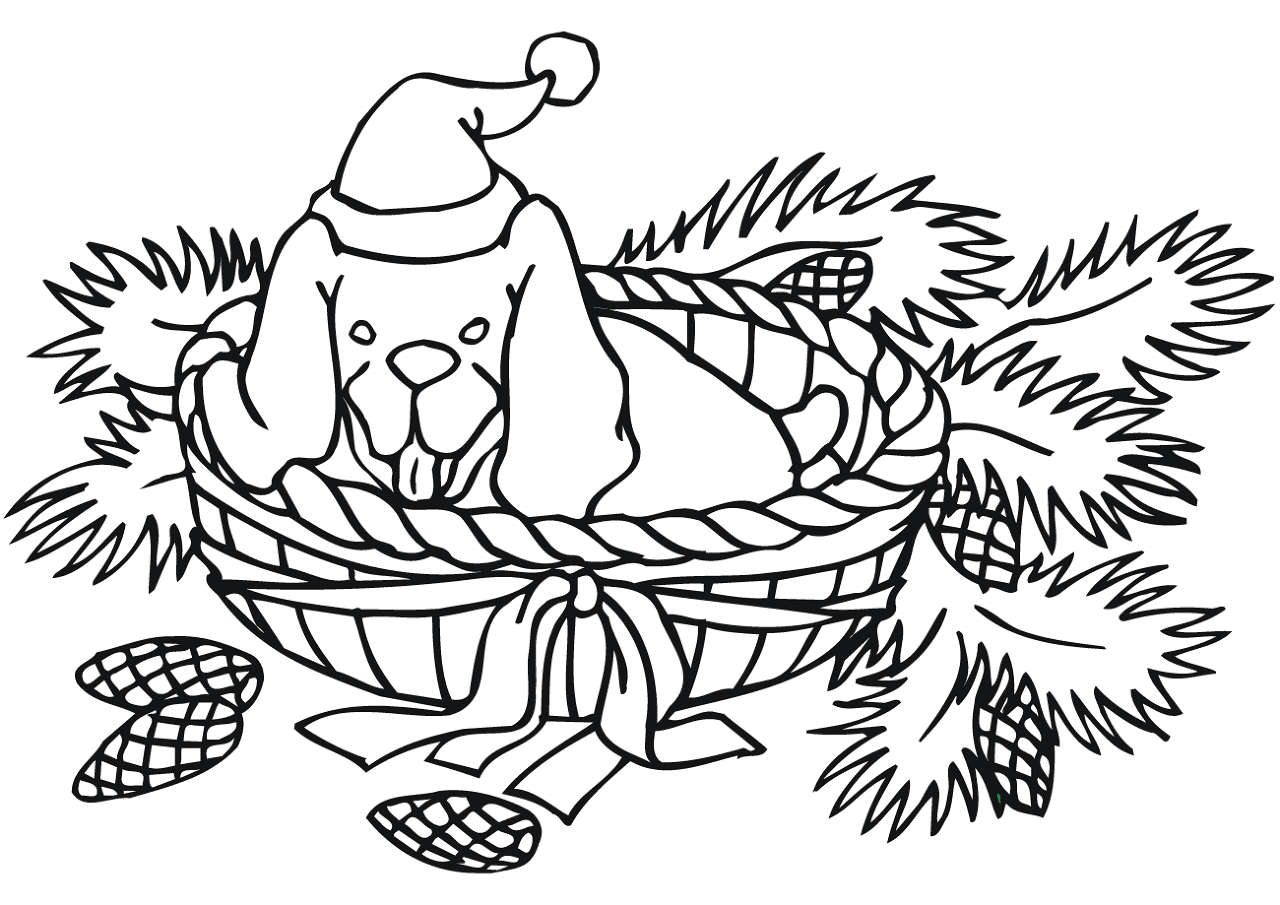 Desenho de Cachorros para colorir e imprimir: número 12
