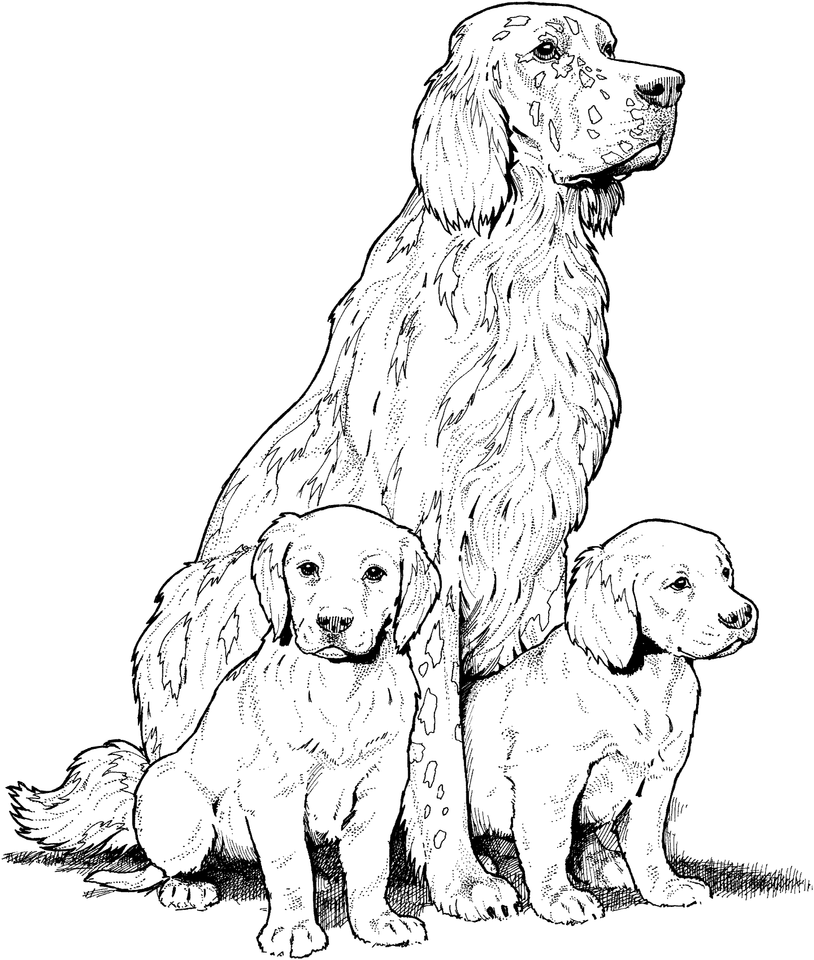Desenho de Cachorros para colorir e imprimir: número 16