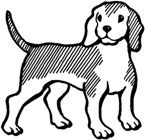 Desenho de Cachorros para colorir e imprimir: número 23