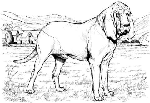 Desenho de Cachorros para colorir e imprimir: número 27