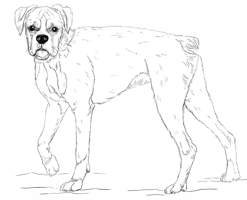 Desenho de Cachorros para colorir e imprimir: número 29