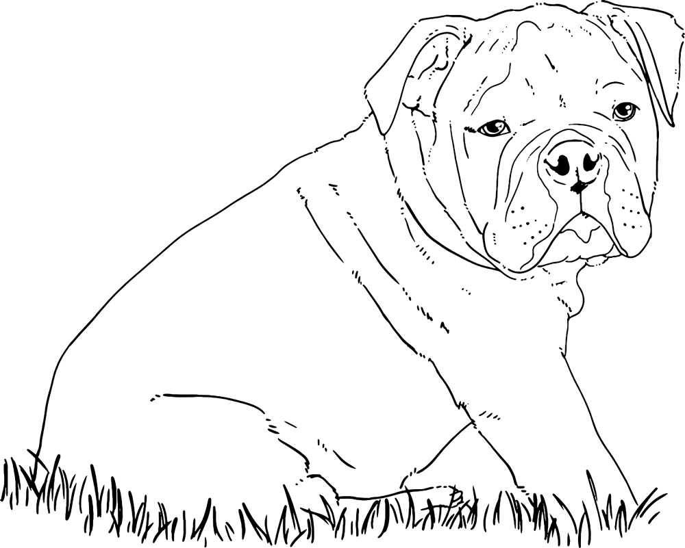 Desenho de Cachorros para colorir e imprimir: número 33