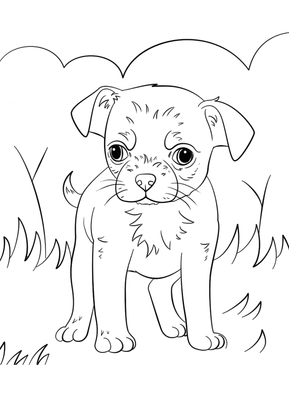 Desenho de Cachorros para colorir