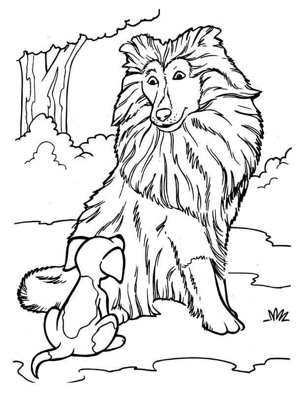Desenho de Cachorros para colorir