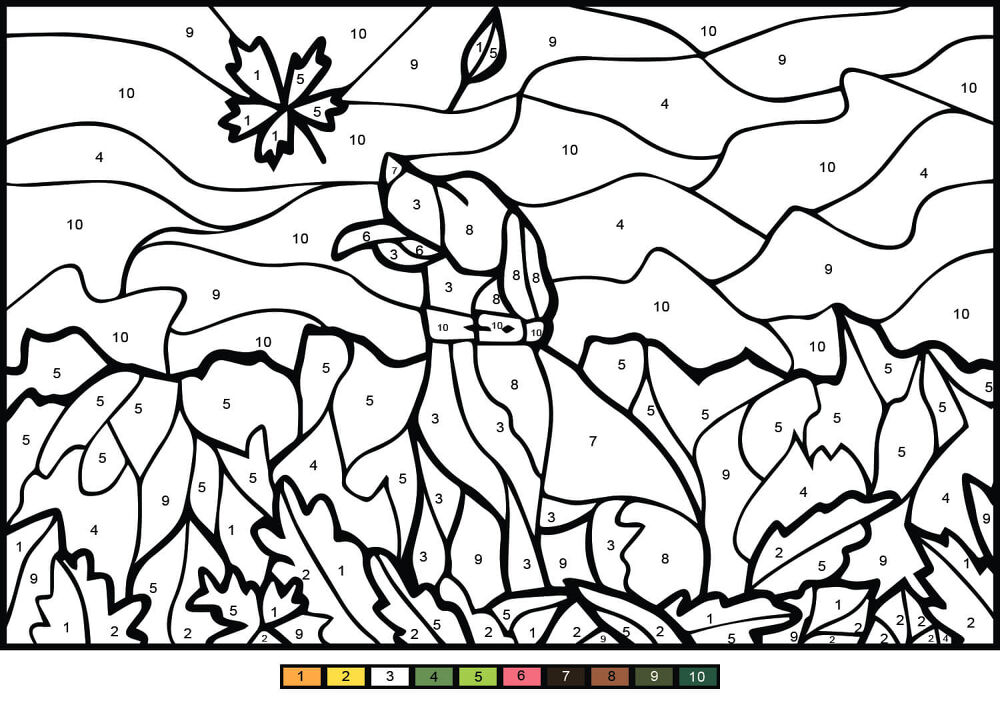 Desenho de Cachorros para colorir