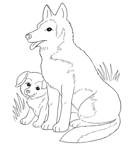 Desenho de Cachorros para colorir