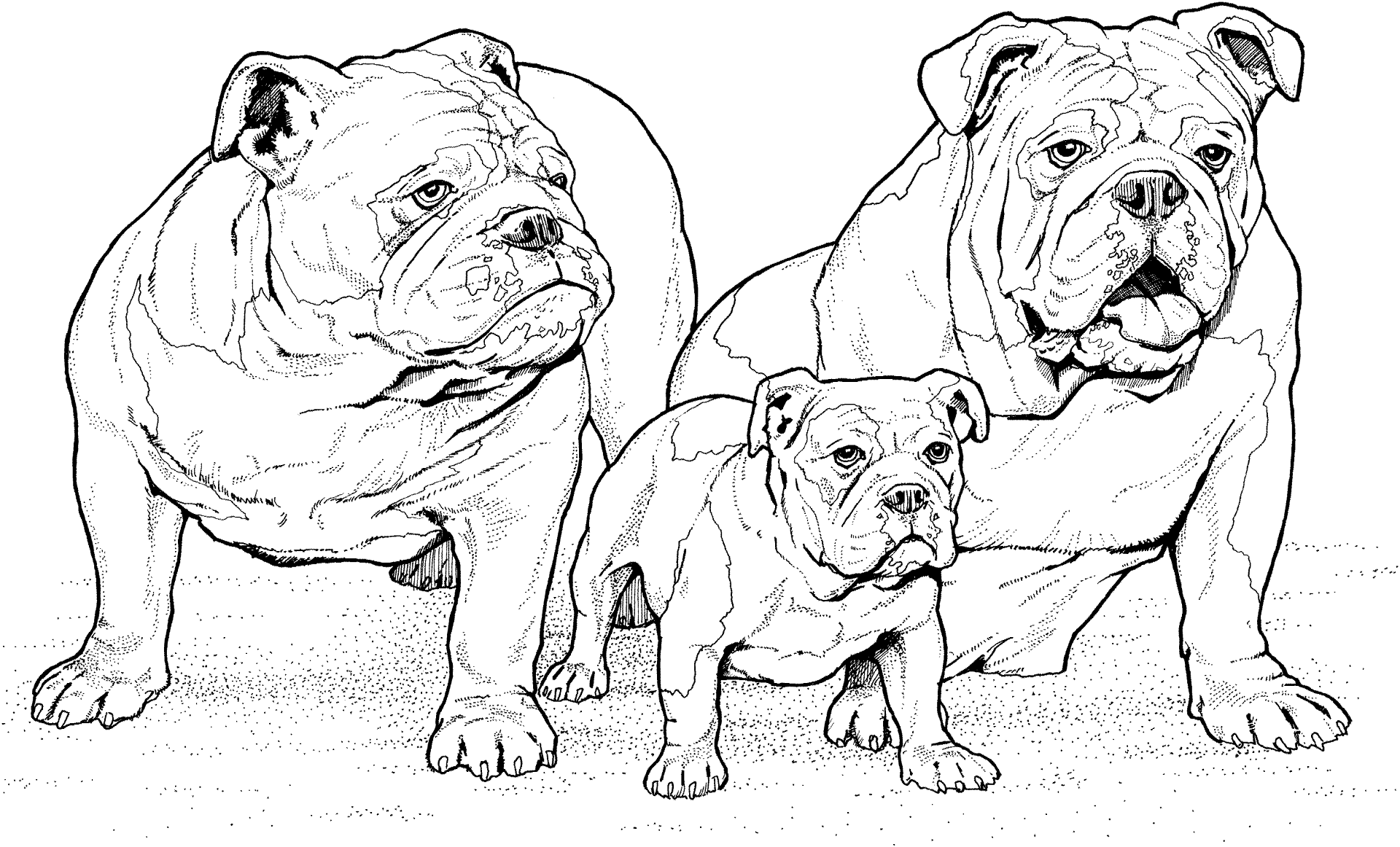 Desenho de Cachorros para colorir