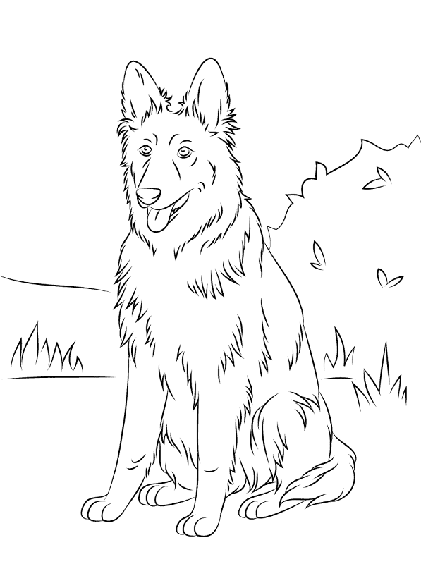 Desenho de Cachorros para colorir