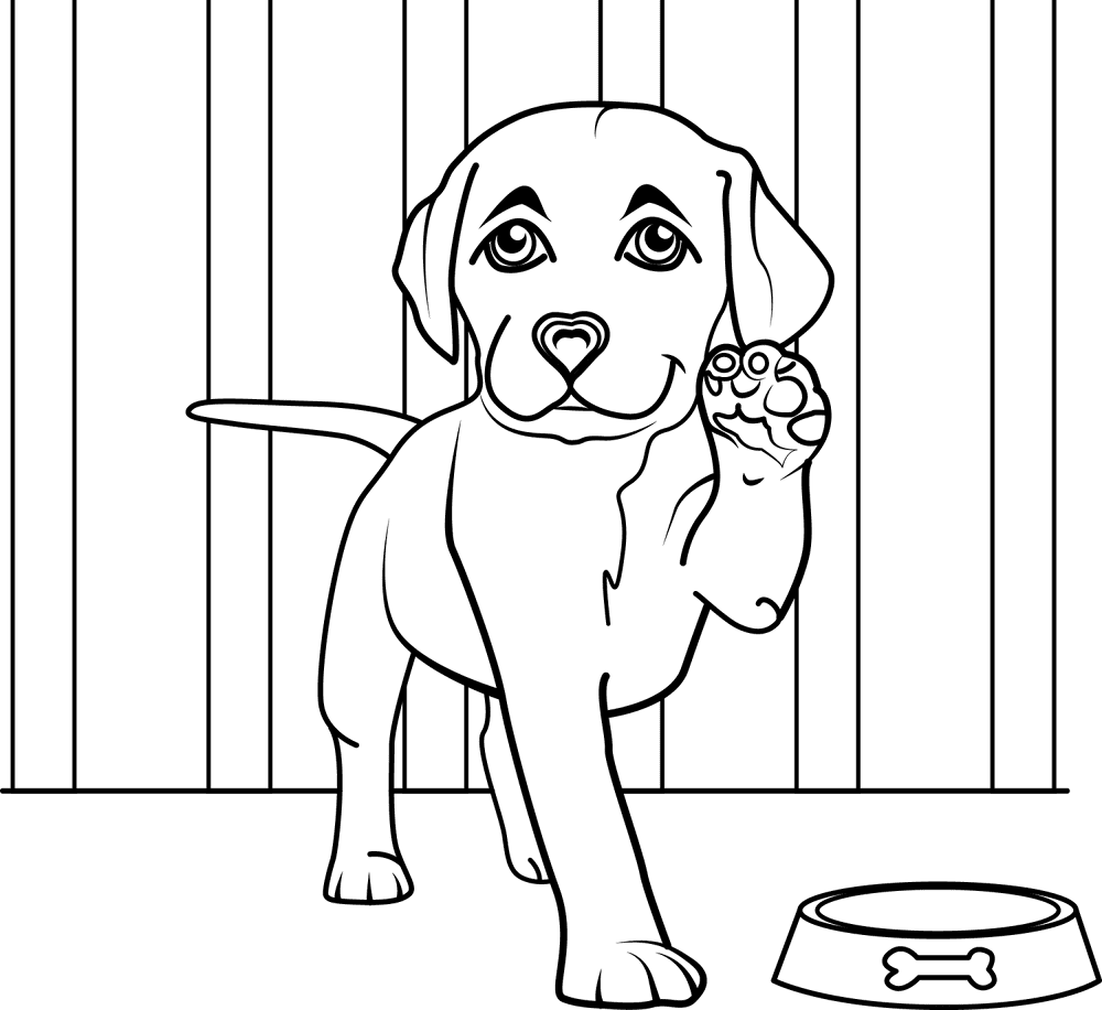 Desenho de Cachorros para colorir