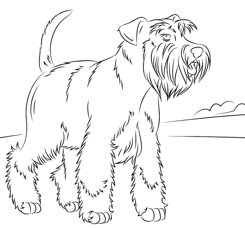 Desenho de Cachorros para colorir