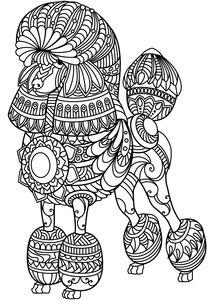 Desenho de Cachorros para colorir