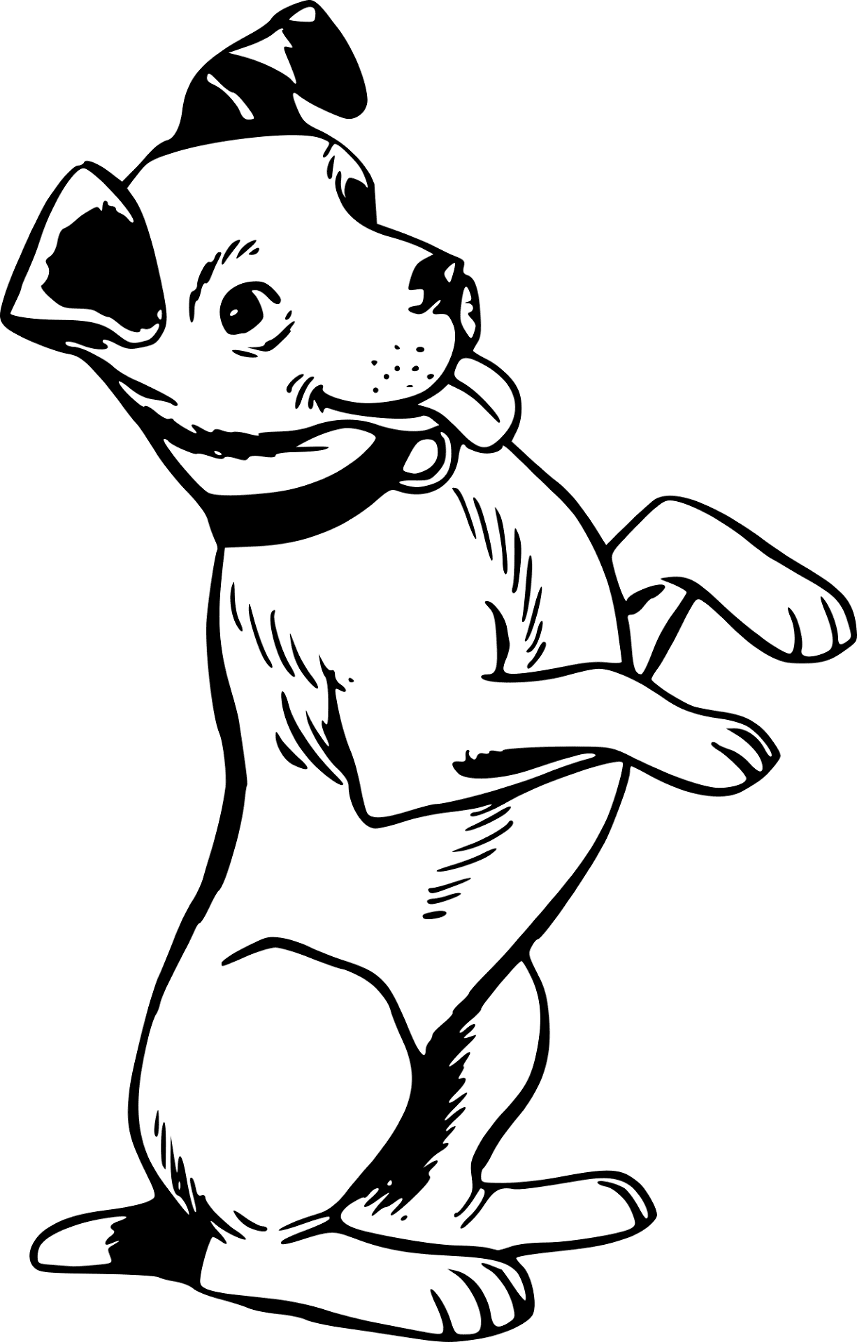 Desenho de Cachorros para colorir