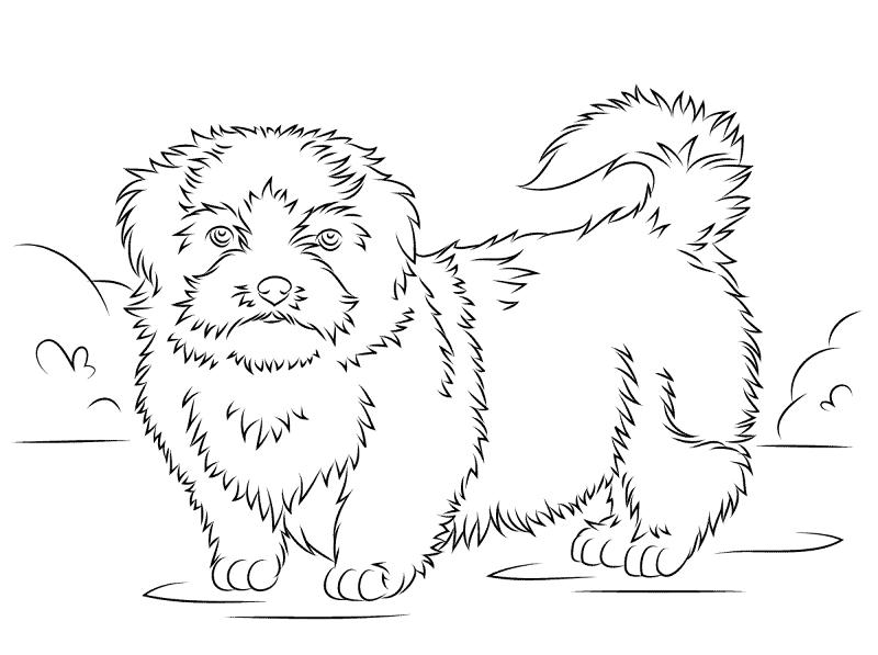 Desenho de Cachorros para colorir