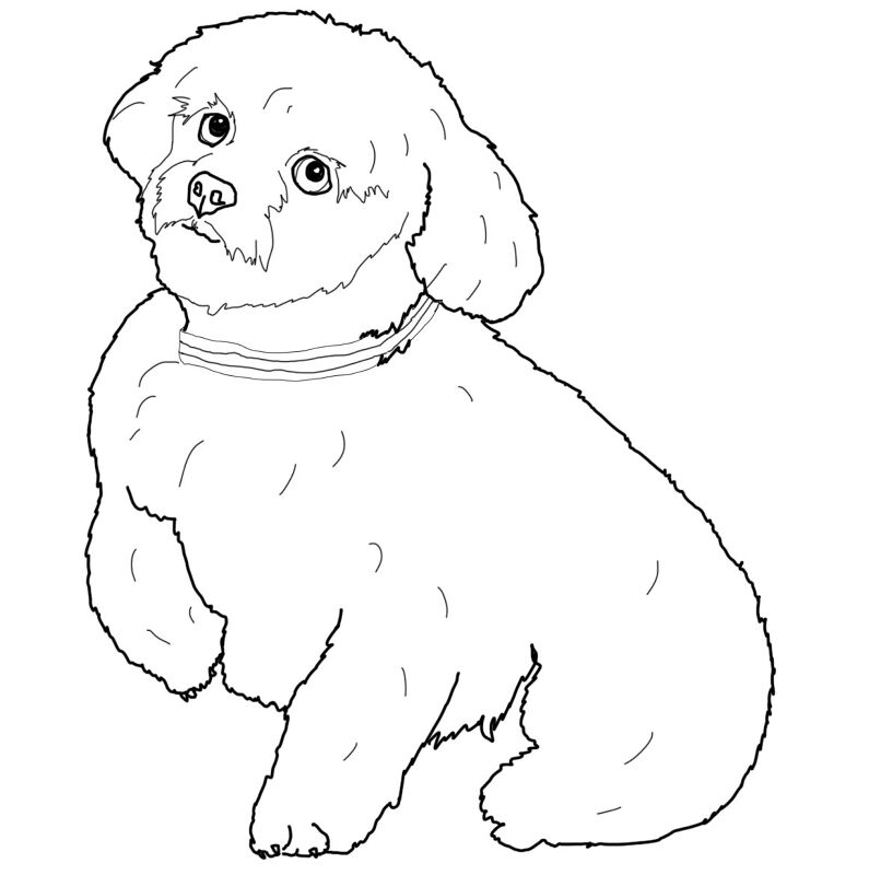 Desenho de Cachorros para colorir
