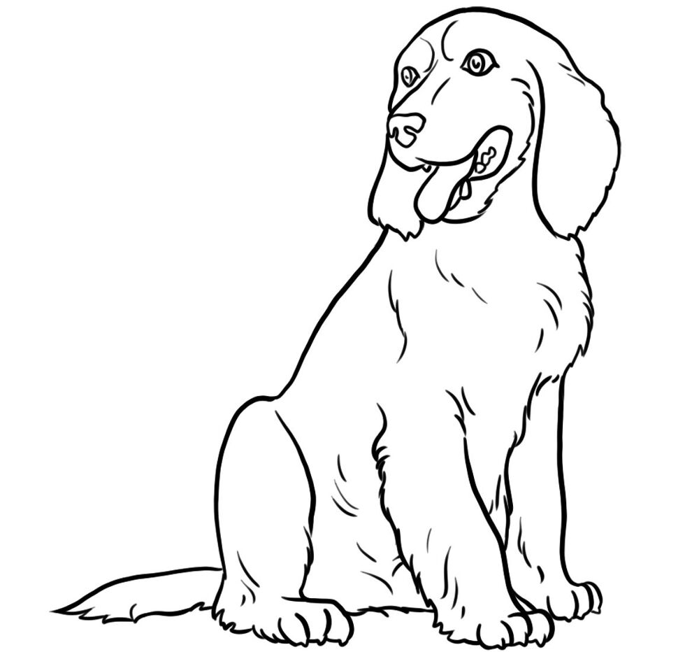 Desenho de Cachorros para colorir